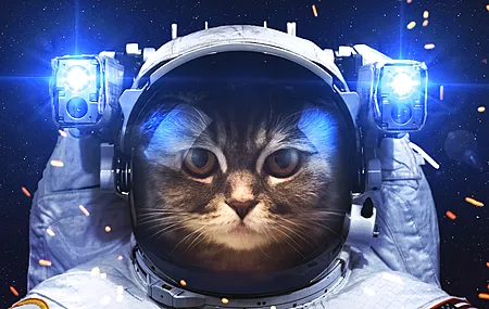 宇航员 猫 太空 艺术 创意 宇宙 星空 科幻 电脑壁纸 4K壁纸