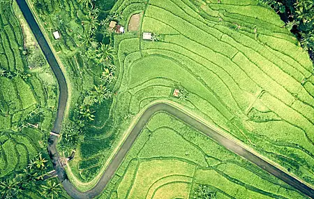 自然 水 风景 田野 鸟瞰 绿色  电脑壁纸 4K壁纸