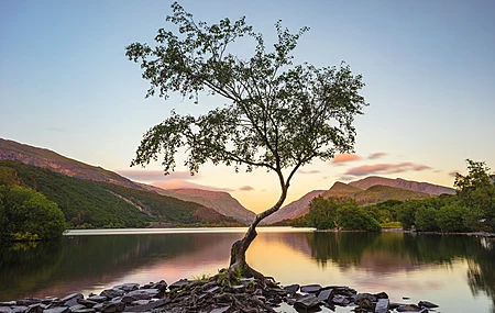 风景 自然 水 山 树 草 反射 天空  电脑壁纸 4K壁纸