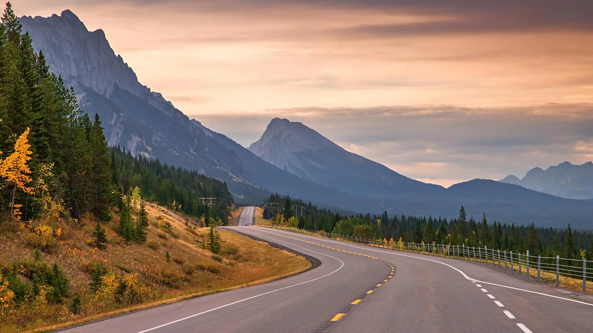 风景 森林 道路 山 云 自然 树  电脑壁纸 4K壁纸