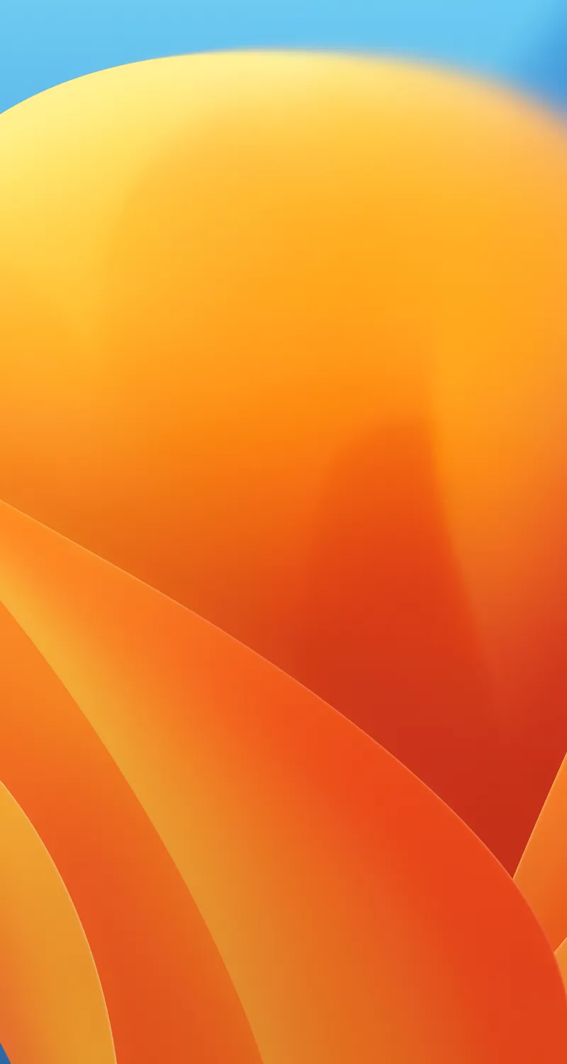 橙色 背景 鲜花 花朵 植物 浅色 抽象 AI艺术  4K壁纸