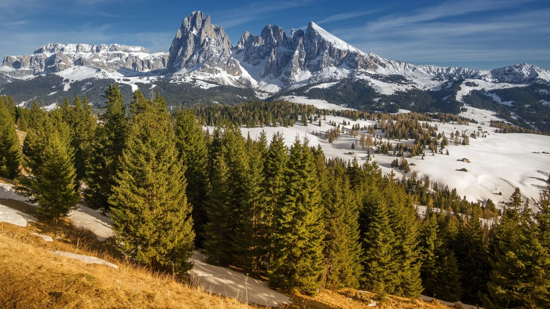 自然 风景 山脉 树木 雪  电脑壁纸 4K壁纸