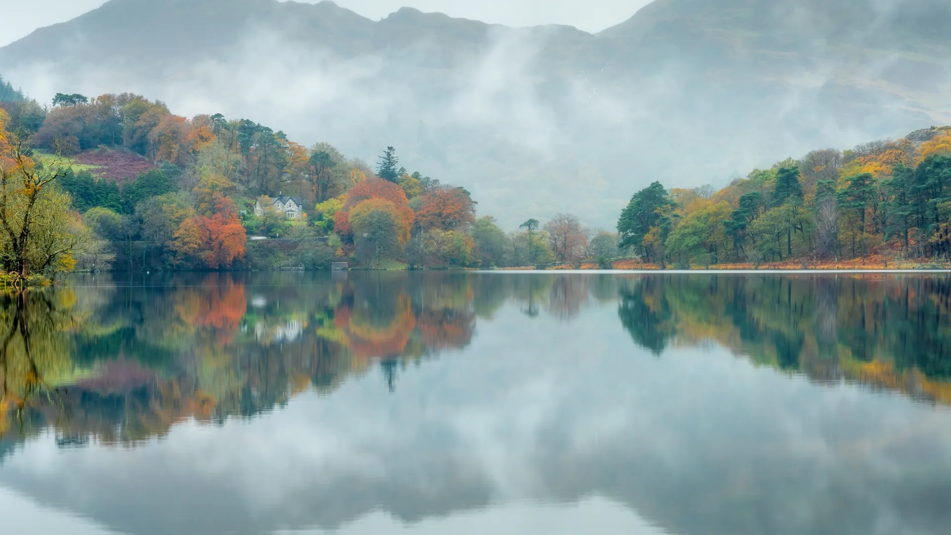 风景 自然 水 森林 秋天 湖泊 倒影 树木  电脑壁纸 4K壁纸
