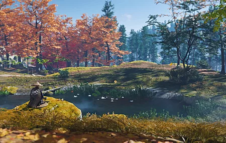 武士 武侠 游戏 风景 森林 电脑壁纸 4K壁纸