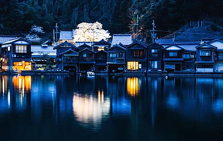  倒置 水 反射 夜间 建筑 灯光 树木  电脑壁纸 4K壁纸