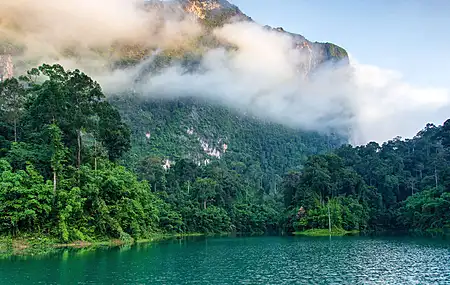 河流 河边 风景 云 自然 水 树  电脑壁纸 4K壁纸