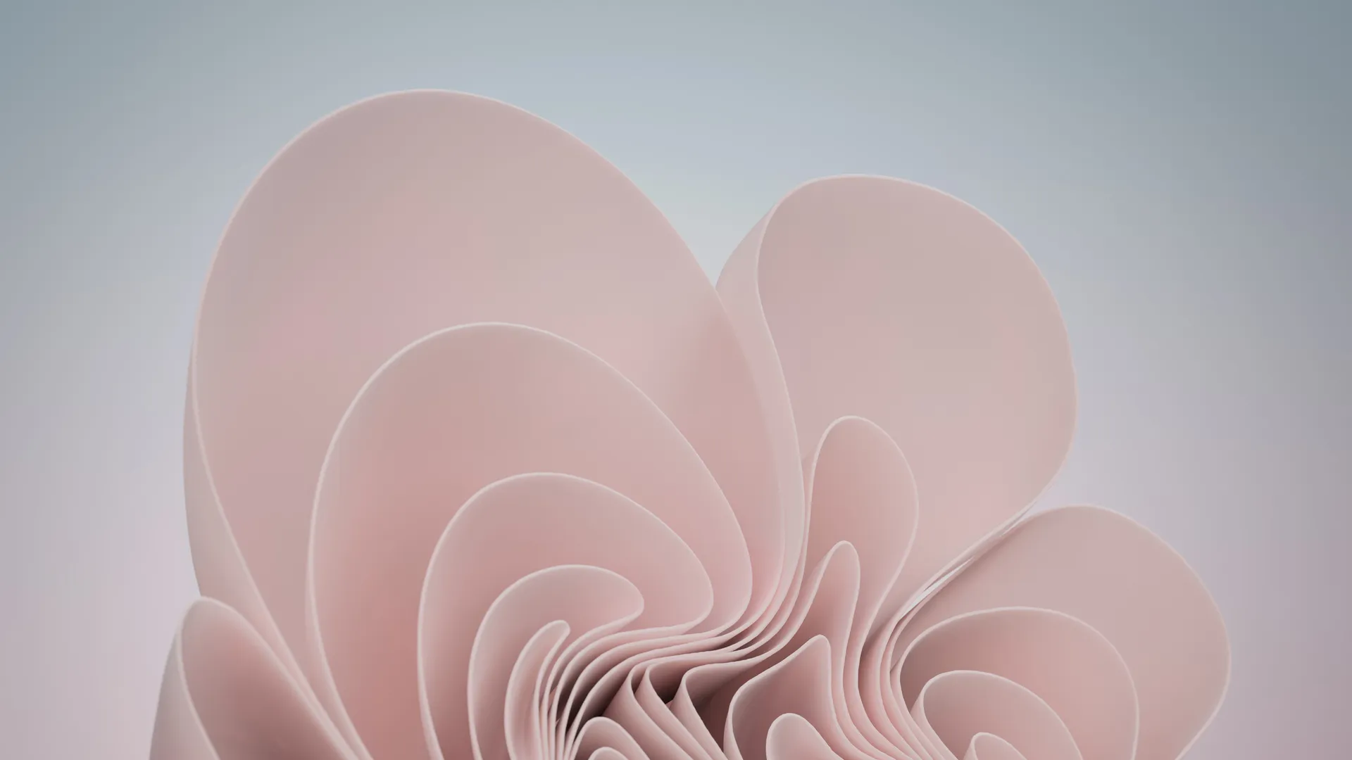  极简主义 简约 简单 办公 微软 Windows 粉色 电脑壁纸 4K壁纸