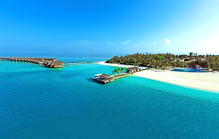 海滩 水 树木 沙滩  天空 蓝色 大海 电脑壁纸 4K壁纸