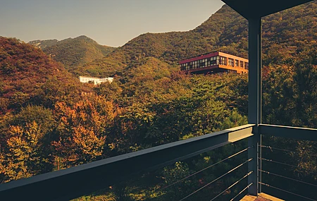 风景 建筑 山 秋天 树 森林 中国 北京  电脑壁纸 4K壁纸