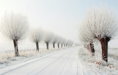 冬天 下雪 寒冷 雪花 下雪 自然 道路 树木  电脑壁纸 4K壁纸