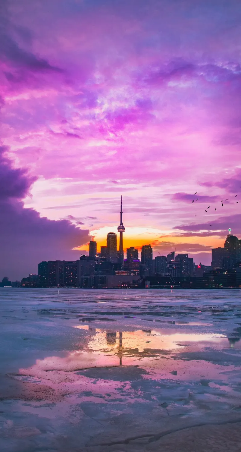 日落 城市 建筑 上海 黄昏 日落 紫色 手机壁纸 4K壁纸