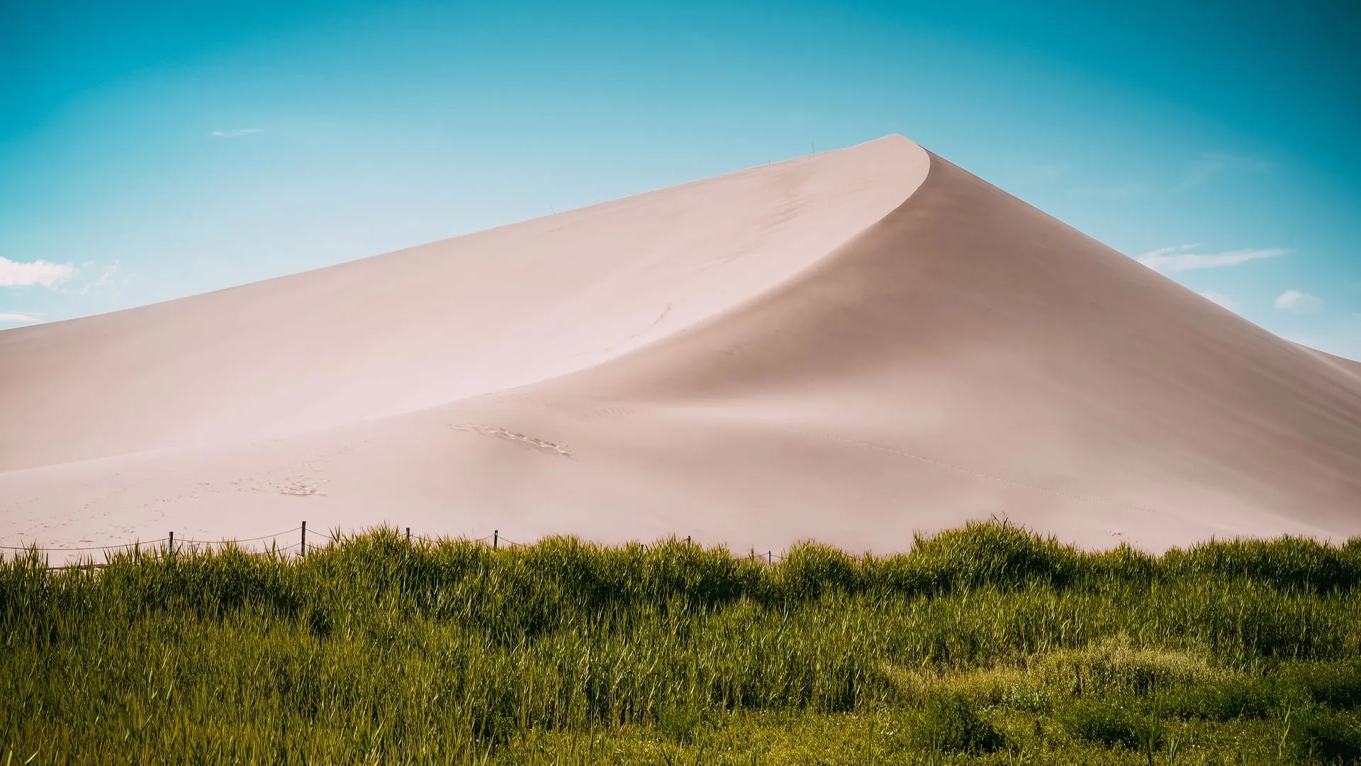 沙子 自然 景观 植物 草 沙丘 蓝天 电脑壁纸 4K壁纸