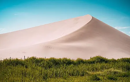 沙子 自然 景观 植物 草 沙丘 蓝天 电脑壁纸 4K壁纸