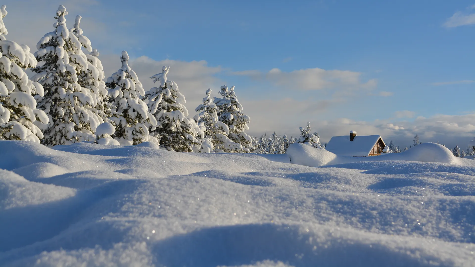 雪 白雪 松树 木屋 冬天 白色 寒冷 风景 电脑壁纸 4K壁纸