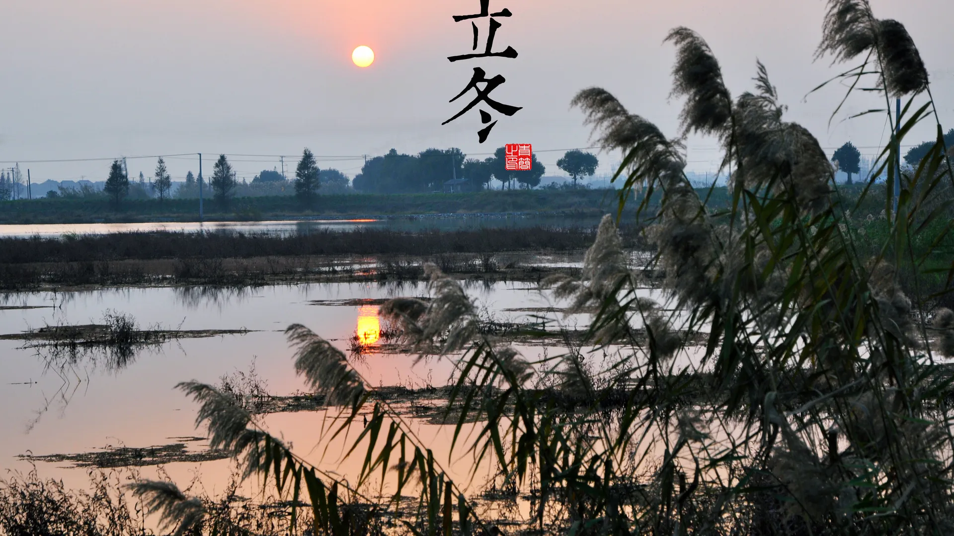 自然 风景 太阳 寒冷 立冬 湖 湖水 芦苇 电脑壁纸 4K壁纸