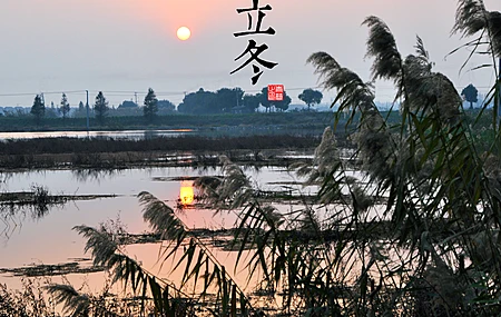 自然 风景 太阳 寒冷 立冬 湖 湖水 芦苇 电脑壁纸 4K壁纸