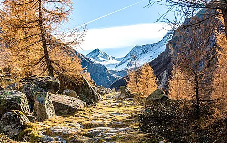 自然 树木 雪 森林 道路 雪山 山脉  电脑壁纸 4K壁纸