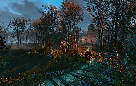 游戏 角色 户外 巫师 狂野狩猎 艺术 云 路径 剑 天空 花朵 阳光  电脑壁纸 4K壁纸