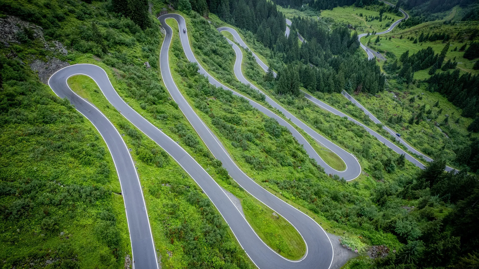 道路 森林 树木 绿色 山脉 自然 风景 丘陵 草地 户外  4K壁纸