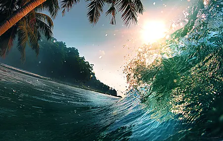 海浪 棕榈树 水 自然 阳光  4K壁纸