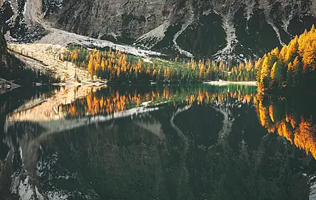 风景 自然 湖泊 水 倒影 森林 树木 山脉  4K壁纸