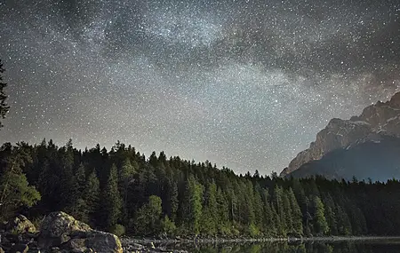 地下城 森林 星夜 树木 湖泊 山脉 景观 自然 4K壁纸