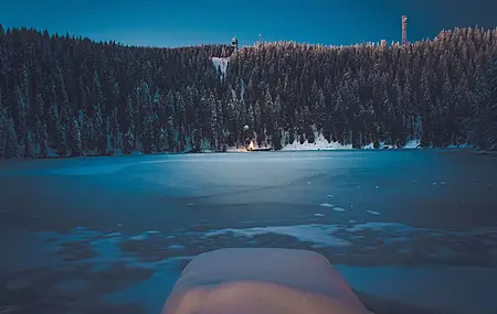 冬天 森林 风景 山 雪 树  4K壁纸
