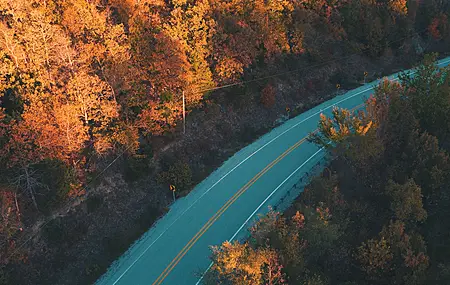 道路 森林 树木 秋天 自然  4K壁纸