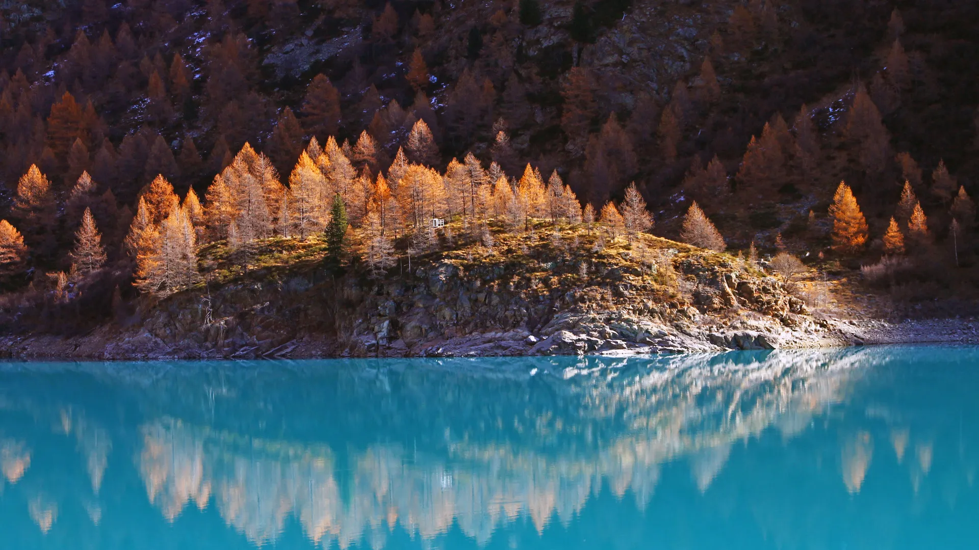 景观 水 树木 秋天 岩石 云杉 河流 湖泊 自然 4K壁纸