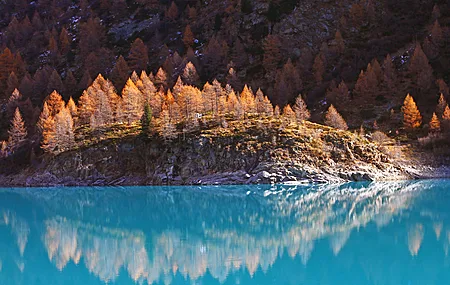 景观 水 树木 秋天 岩石 云杉 河流 湖泊 自然 4K壁纸