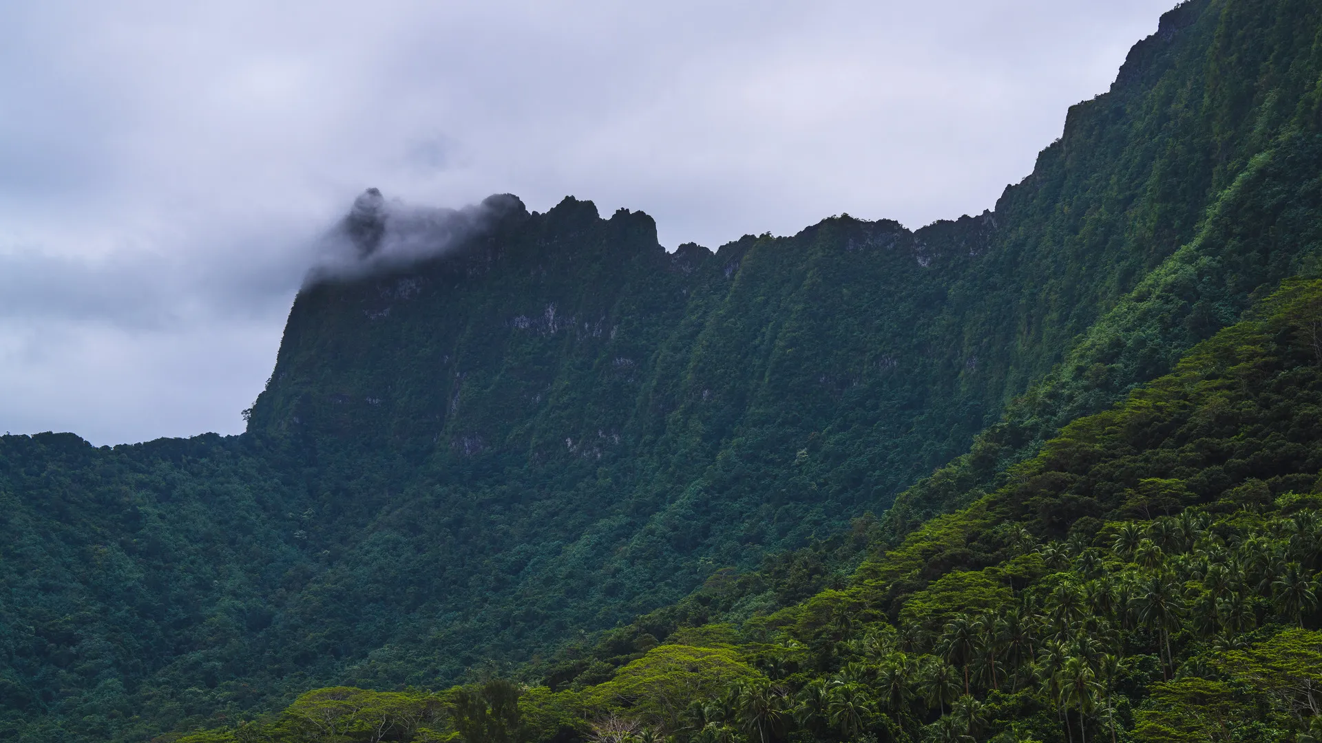 山脉 风景 自然 云 丛林 岛屿 8K壁纸