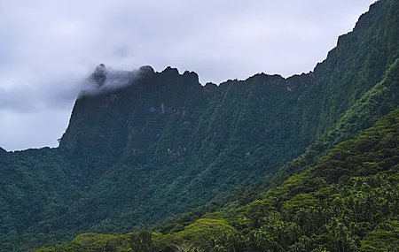 山脉 风景 自然 云 丛林 岛屿 8K壁纸