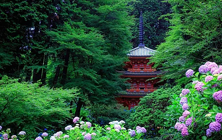 亚洲建筑 树木 森林 植物 花 叶 绣球 4K壁纸