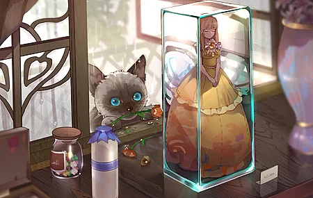 董 猫 花 雨 娃娃 4K壁纸