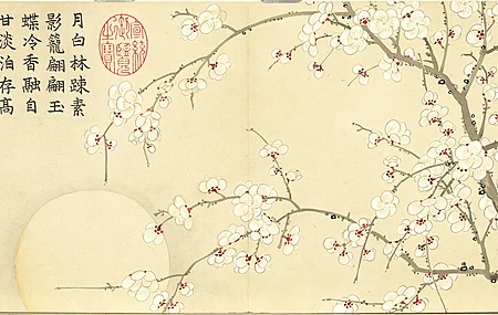 梅花 插图 汉字 简单背景 中文 鲜花 极简主义 4K壁纸