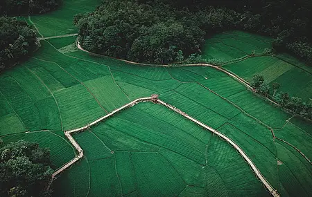 风景 鸟瞰 农场 树木 田野 草地 森林 自然 远景 绿色 4K壁纸