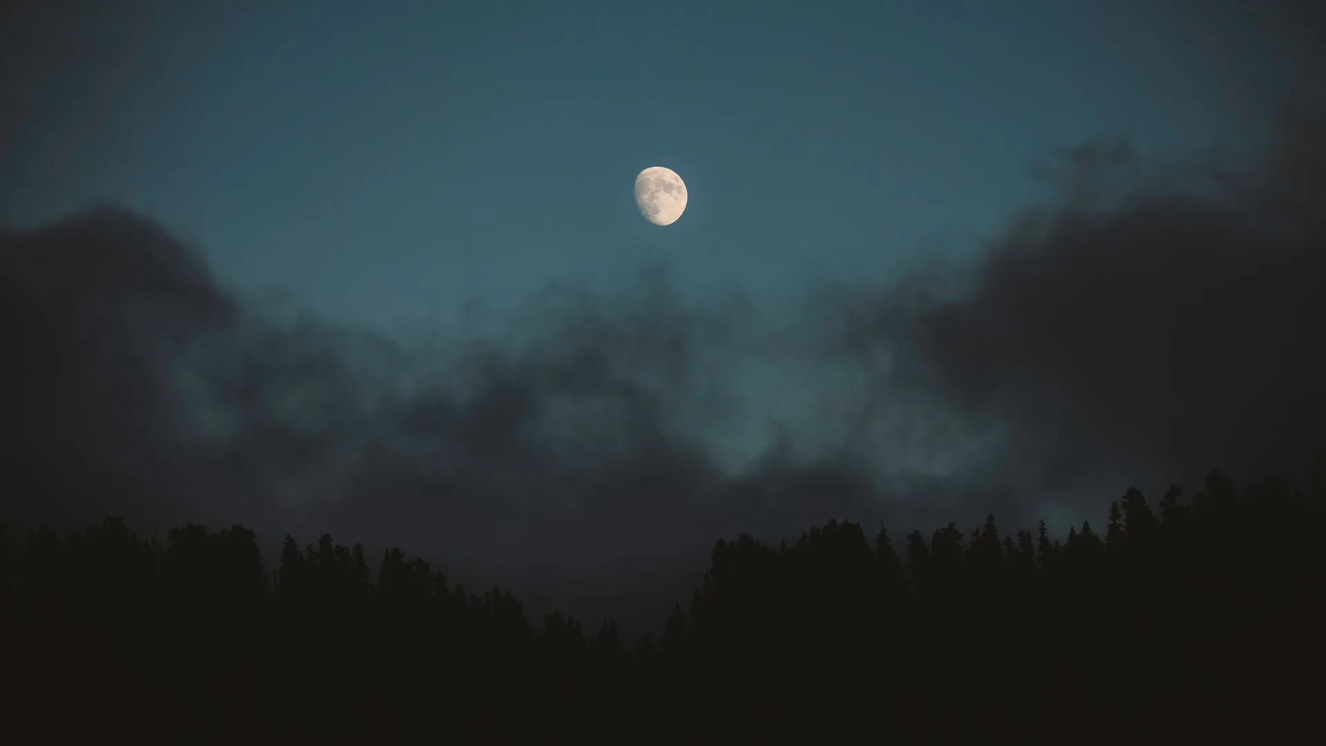 自然 云彩 松树 森林 月亮 月光 夜晚 天空 4K壁纸