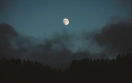 自然 云彩 松树 森林 月亮 月光 夜晚 天空 4K壁纸