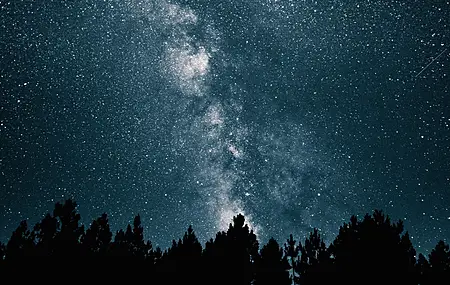 夜晚 天空 繁星 夜 夜空 蓝色 银河 树木 黑暗 黑色 天文 星云 彗星 星星 4K壁纸