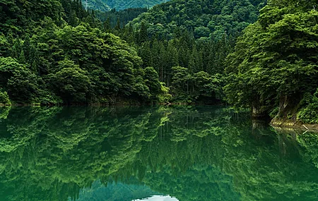 树 山 水 湖 4K壁纸