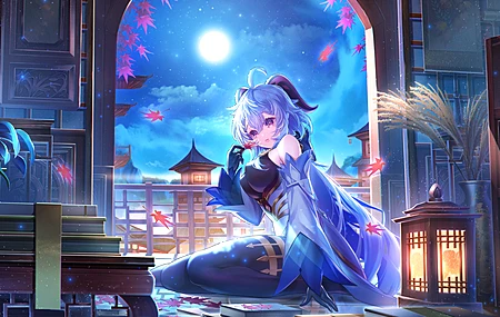 原神 动漫 女孩 树叶 夜 月 书 4K壁纸