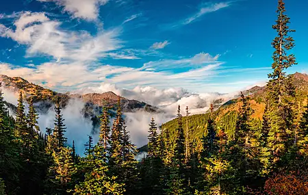 国家公园 森林 自然 风景 云 秋天 薄雾 树木 山脉 天空 8K壁纸