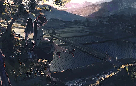稻田 山脉 日落 4K壁纸