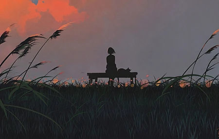 坐 草 猫 云 数字艺术 夕阳 天空 火烧云 剪影 傍晚 唯美 治愈 4K壁纸