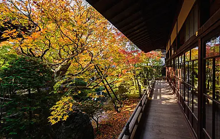 自然 城市 建筑 花园 4K壁纸