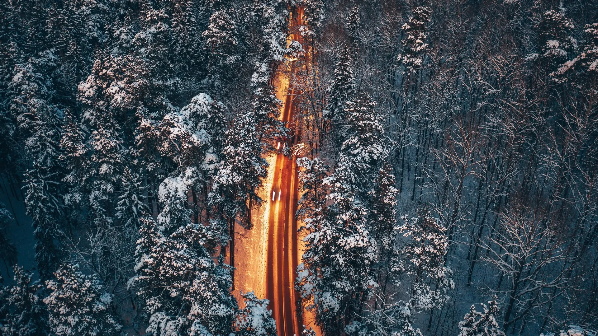 道路 树木 雪地 户外 森林 冬季 4K壁纸