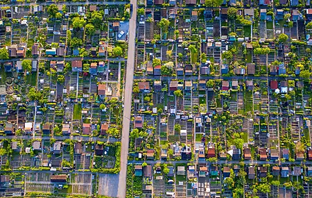 花园 道路 4K壁纸