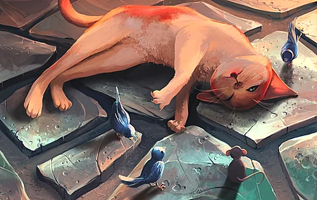 动物 鸟类 猫 哺动物 4K壁纸