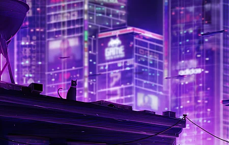 猫 灯光 霓虹灯 城市 灯光 建筑 未来主义 AI艺术 紫色 背光 景观 动物 4K壁纸