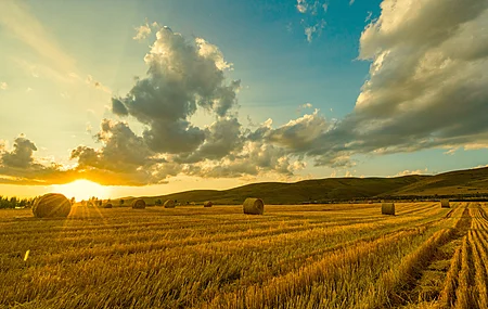 自然 风景 秋收 麦田 夕阳 阳光 4K壁纸